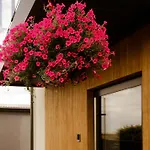 Apartament Monic Mechelinki