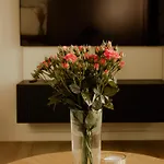 Apartament Monic *
