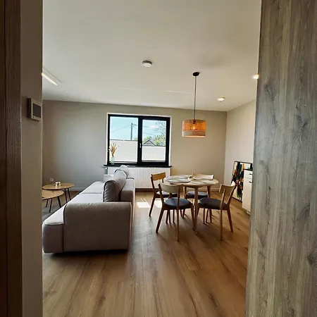Apartament Monic *